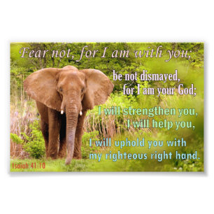 Elefant mit Jesaja-41:10 Fotodruck