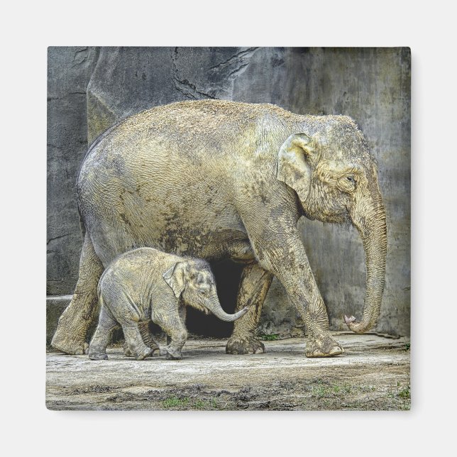 Elefant mit Neugeborener Magnet (Vorne)