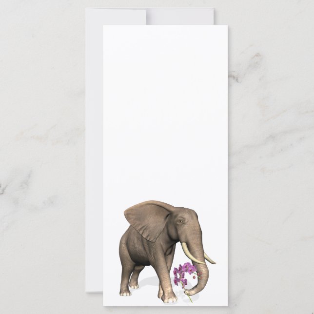 Elefant mit rosa Orchid (Vorderseite)