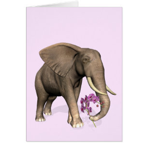 Elefant mit rosa Orchid
