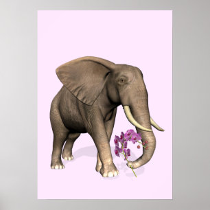 Elefant mit rosa Orchid Poster