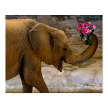 Elefant mit Rose Poster