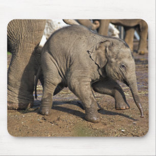 Elefant Mousepad