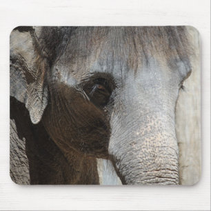 Elefant mustert mousepad