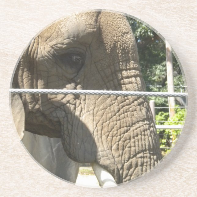 Elefant Nah Sandstein Untersetzer (Vorne)