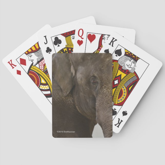 Elefant Oben-Nah Spielkarten (Rückseite)