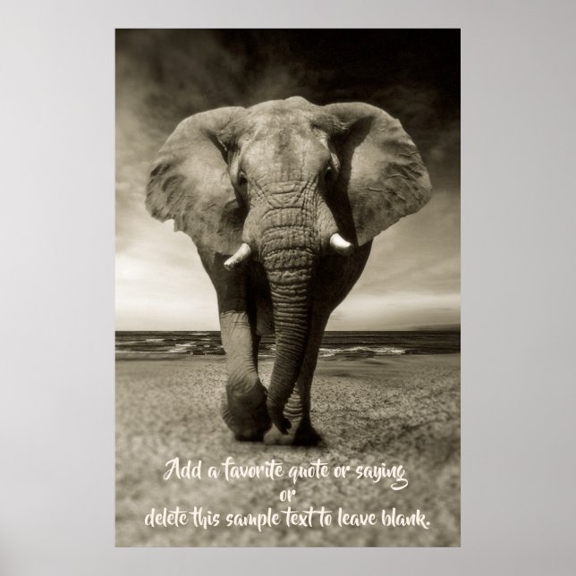 Elefant | Optionales Angebot, Sprichwort, Text Poster (Vorne)