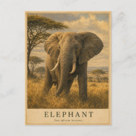 Elefant Ostafrikanische Savanne VINTAGE Postkarte