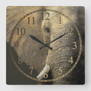Elefant-Porträt Quadratische Wanduhr