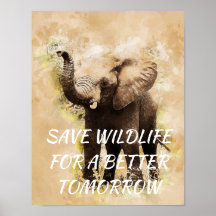 Elefant, Rett Wildlife für eine bessere Zukunft