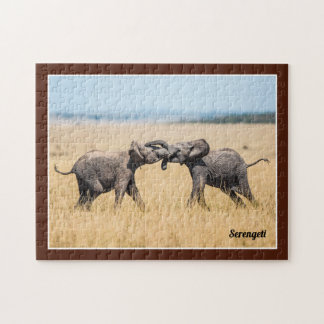 Elefant Serengeti Afrika Savanne Wildtiere