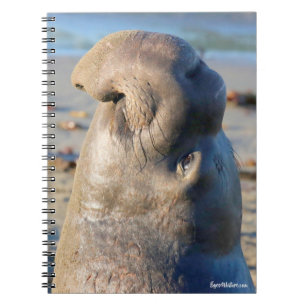 Elefant-Siegelstier Notizblock