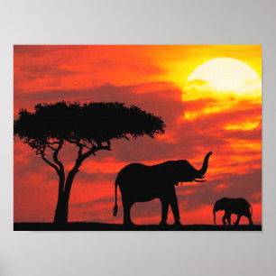 Elefant-Silhouette-Szene mit orange Himmel Poster