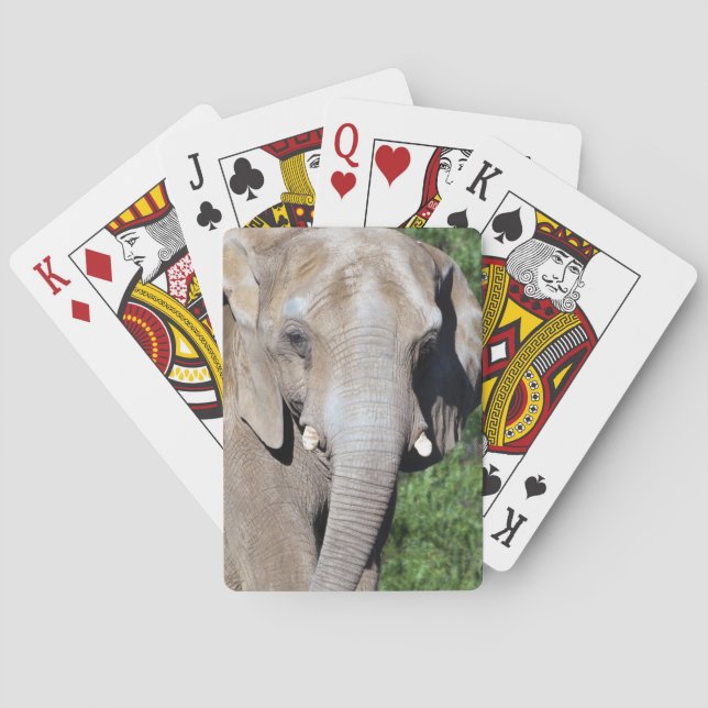 Elefant-Spielkarten Spielkarten (Rückseite)