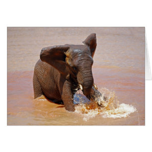 Elefant spielt mit Wasser