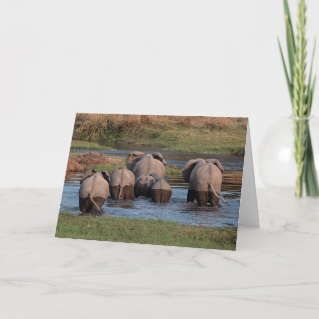 Elefant tushies, Tansania Feiertagskarte (Vorderseite)