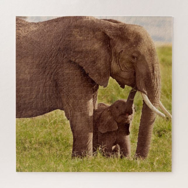 Elefant u. Baby Getty Bild-| (Horizontal)