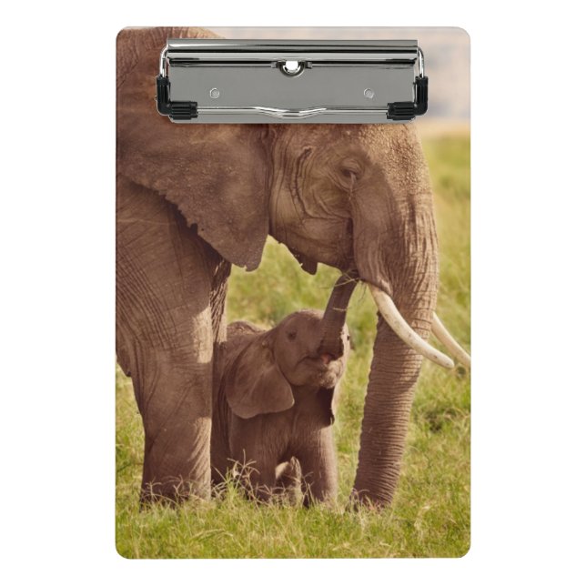 Elefant u. Baby Getty Bild-| Mini Klemmbrett (Vorderseite)