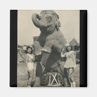 Elefant und 2 Mädchen Zirkusmagnet Magnet