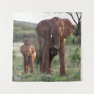 Elefant und Baby (Quadrat 57x57 herein.) Wandteppich