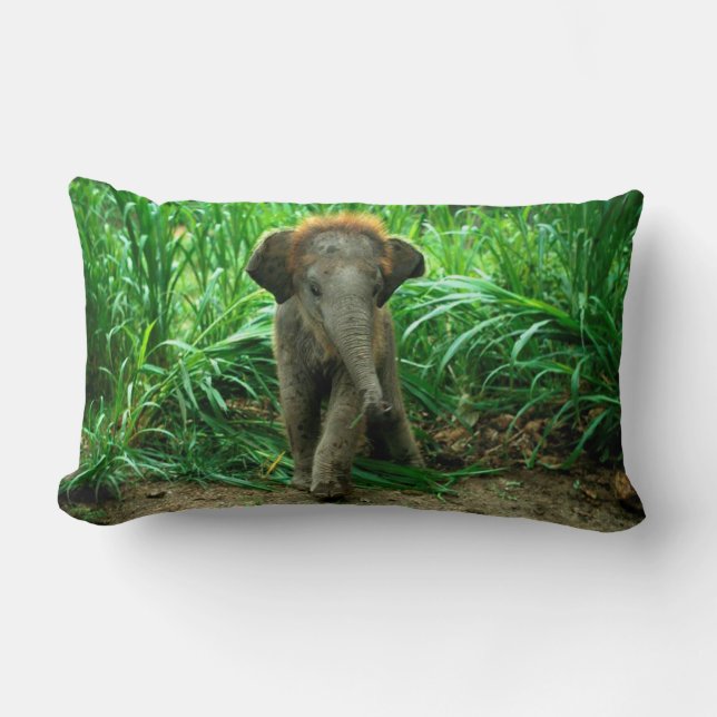 Elefant und Gras Lendenkissen (Vorderseite)