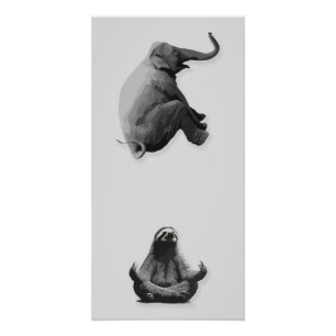 Elefant und meditierende Sloth Harmonie Poster
