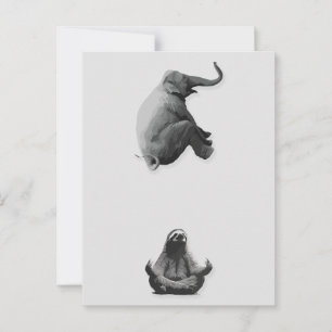 Elefant und meditierende Sloth Harmonie Postkarte