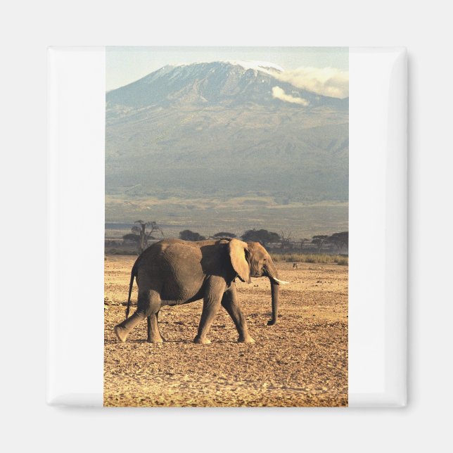 Elefant vor Kilimanjaro Magnet (Vorne)