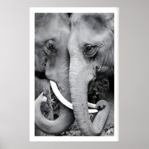Elefant-Wandkunst-Druck Nahaufnahme Schwarz-Weiß Poster