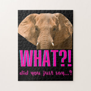 Elefant, was hast du gerade gesagt?