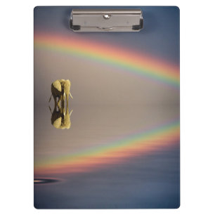 Elefant, Wasser & Regenbogen, Kenia Klemmbrett
