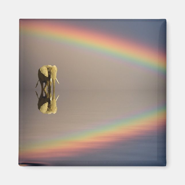Elefant, Wasser & Regenbogen, Kenia Magnet (Vorne)