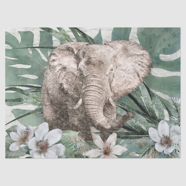 Elefant Zeichnend Seidenpapier (Vorderseite)