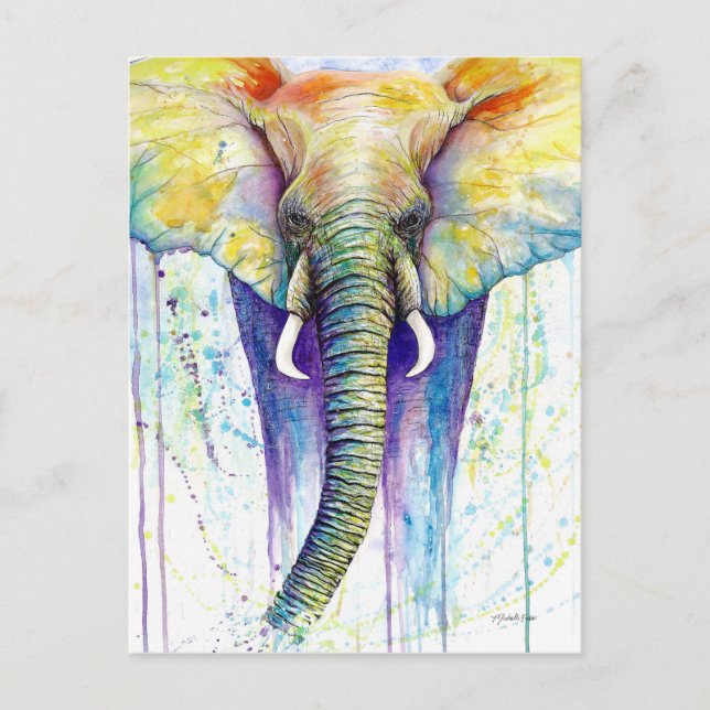 Elefante Aquarellkunst Postkarte (Vorderseite)
