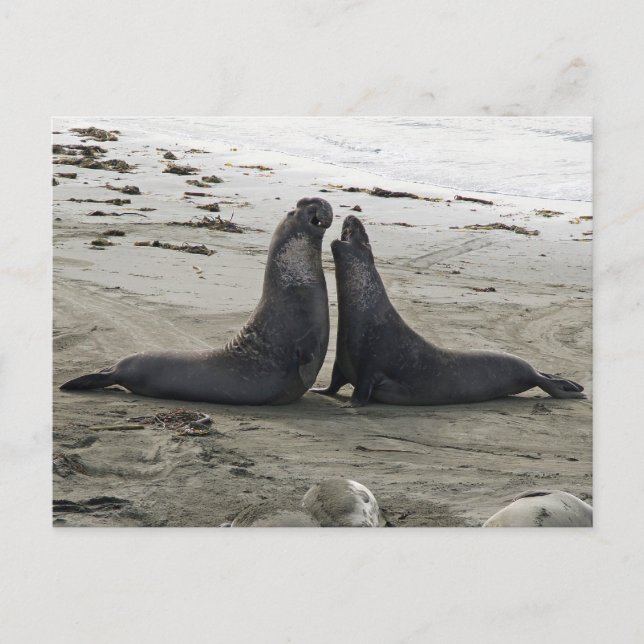 Elefante Siegel, die Postkarte bekämpfen (Vorderseite)