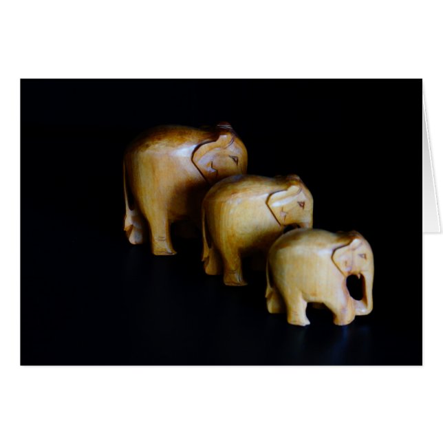 Elefanten (Vorderseite (Horizontal))