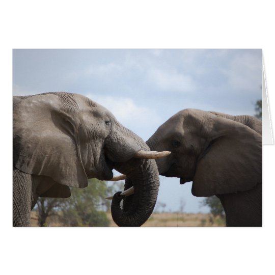 Elefanten bei Kruger Karte