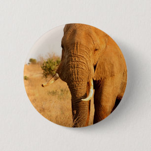 Elefanten Button