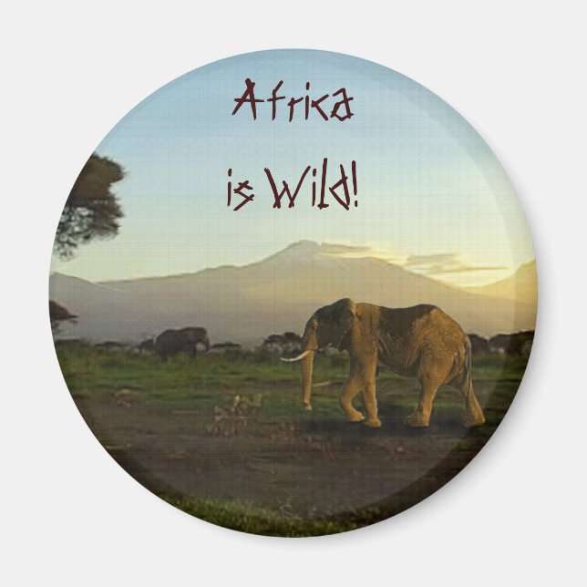 Elefanten der AFRICA-Serie Magnet (Vorne)