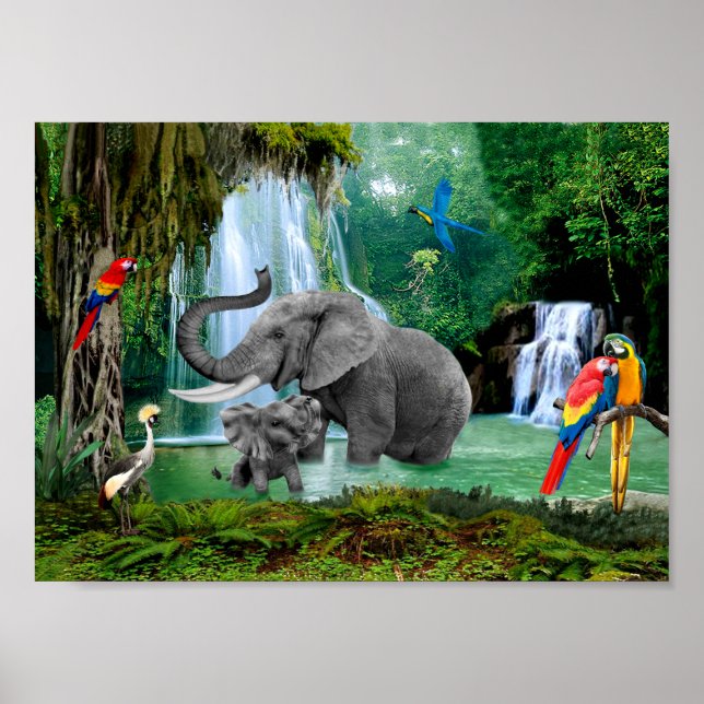 ELEFANTEN DES REGENWALDES POSTER (Vorne)