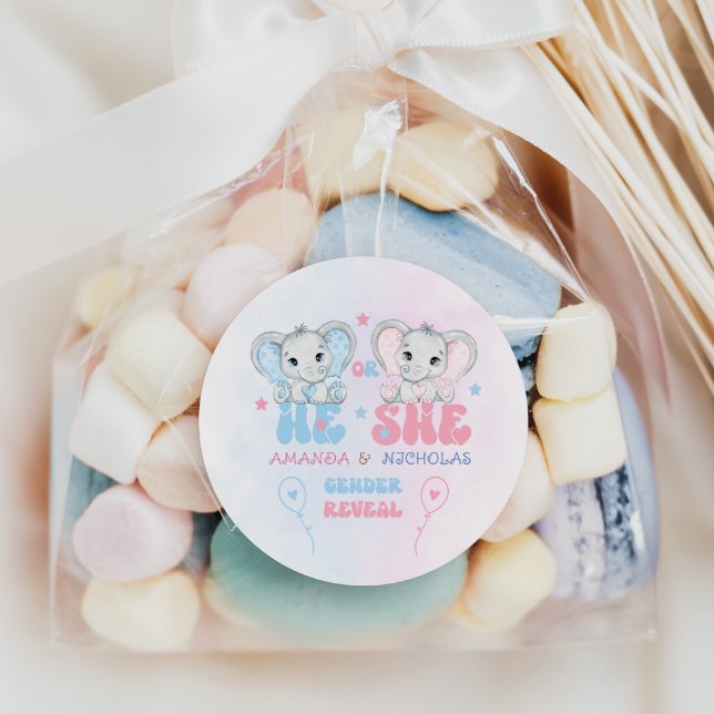 Elefanten, die er oder sie rosa blaue Genderdarste Runder Aufkleber (Von Creator hochgeladen)