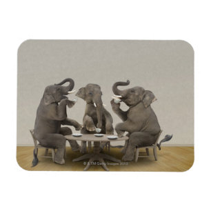 Elefanten, die Tee-Party haben Magnet