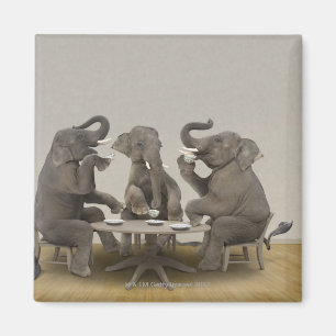 Elefanten, die Tee-Party haben Magnet
