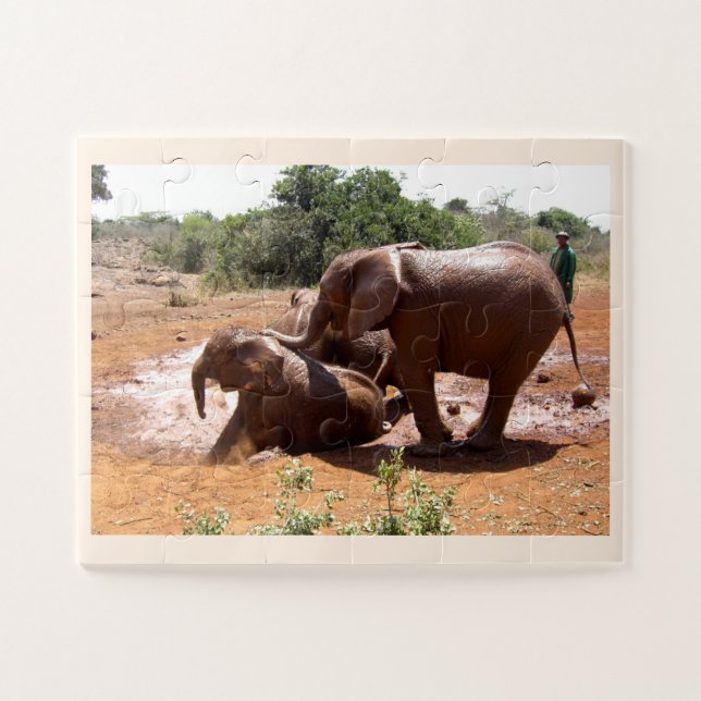 Elefanten, die Tiere waschen (Horizontal)