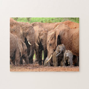 Elefanten Familienspezifisches Foto