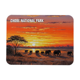 Elefanten im Chobe-Nationalpark Botswana Magnet