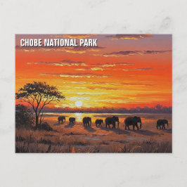 Elefanten im Chobe-Nationalpark Botswana Postkarte