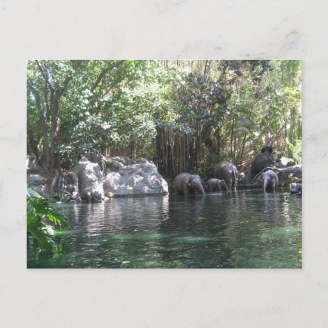 Elefanten im Spiel Postkarte (Vorderseite)