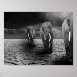 Elefanten in der Wüste Poster