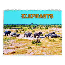 Elefanten Kalender